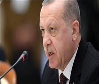محلل سياسي: اردوغان يسعى للإطاحة بـ«نواب البرلمان» تمهيدا لمحاكمتهم 