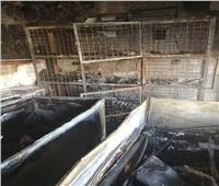 صور| حريق هائل يلتهم المركز السوري للدواجن بالعاشر من رمضان