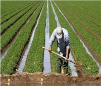 أمين عام الفلاحين: الحكومة حريصة على تطوير زراعة وإنتاج السكر