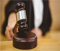 تأجيل محاكمة 32 متهما بـ«خلية ميكروباص حلوان» لـ13 يوليو 