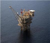 مصر متحدث رئيسي في المؤتمر الدولي «دور الغاز الطبيعي بالمنطقة»