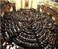 فيديو| البرلمان: الرئيس السيسي يراجع الموازنة العامة بالجنيه
