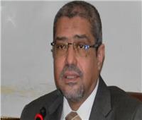 إبراهيم العربي يعلن قائمته النهائية في انتخابات غرفة القاهرة التجارية 