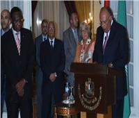 وزير الخارجية يؤكد على عمق العلاقات التاريخية بين مصر والأشقاء الأفارقة