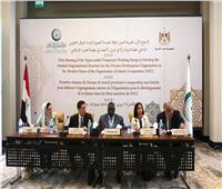 مصر تستضيف الاجتماع الأول لمجموعة «العمل المؤقتة مفتوحة العضوية»
