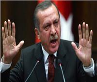 «حقوق الإنسان» بالبرلمان ترفض تصريحات الطاغية أردوغان