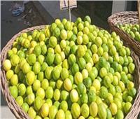 فيديو| «التموين» تكشف سر ارتفاع سعر الليمون