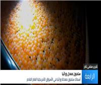بالفيديو| تقرير: أمريكا تعد سلمون معدل وراثياً لطرحه في الأسواق  قريبا  