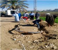 محافظ أسيوط يعلن الانتهاء من إصلاح كابل الكهرباء بقرية الشنابلة