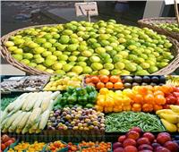 الزراعة: مصر الأول عالميا في حجم الصادرات.. وسعر الليمون سينخفض 70% قريباً