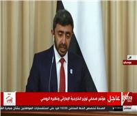 فيديو| وزير الخارجية الإماراتى: نتمنى نهاية الحرب باليمن خلال العام الحالى