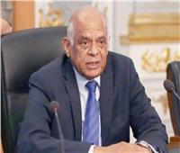 مجلس النواب: جيبوتي شريك هام لمصر في تحقيق التنمية الاقتصادية