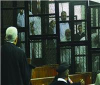 ثورة 30 يونيو| الدولة انتصرت للقانون في محاكمة قادة الإرهاب