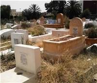 ما حكم وضع الزرع عند القبور؟.. «البحوث الإسلامية» يجيب