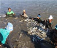 تفاصيل| الزراعة تعلن إنجازات الهيئة العامة للثروة السمكية خلال عام
