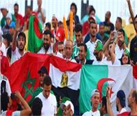 جماهير مصر تساند المنتخب الجزائري أمام غينيا في كأس أمم إفريقيا