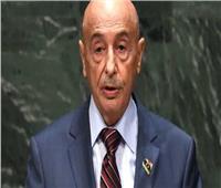 فيديو| عقيلة صالح: الرئيس السيسي متفهم جداً للقضية الليبية 