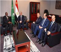 الرئيس السيسي يبحث مع نظيره الجنوب أفريقي تعزيز التعاون الثنائي والأوضاع في ليبيا  