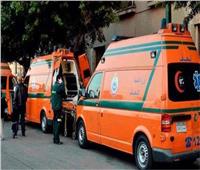 إصابة 25 شخصا من عائلة واحدة بالتسمم في «دلجا» بالمنيا