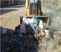 رفع 178 طناً من القمامة والمخلفات الصلبة بمركز أبوقرقاص بالمنيا
