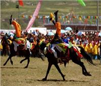 شاهد| رقص الخيول على أنغام تيانما بالحقول الخضراء