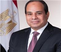 الرئيس يناقش مع وزير الطاقة الأمريكي تعزيز الاستثمارات في مصر