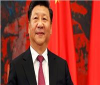 رئيس الصين يؤكد دعم بلاده القوي لجهود مصر في حماية أمنها ومكافحة الإرهاب
