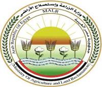 «الزراعة»: 30 الف جنية إعانة عاجلة لأسرة كل متوفي في حادث غرب المنيا