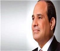 الرئيس السيسي يهنئ أبناء مصر في الخارج بـ«عيد الأضحى المبارك»