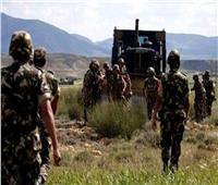 الجيش الجزائري يلقي القبض على عنصر للجماعات الارهابية