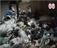 فيديو| القمامة تتراكم أمام الوحدة المحلية بساقية أبو شعرة في المنوفية 