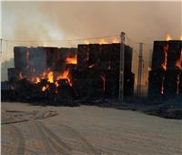 الوادي الجديد: حصر الخسائر المادية جراء حريق شرق العوينات