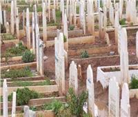 هل المقابر تورث؟.. «البحوث الإسلامية» يجيب