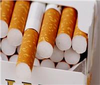 فيديو| مدير معهد القلب السابق: السجائر تحتوي على «مواد مسرطنة وسم فئران»
