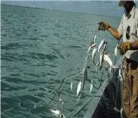 ما حكم صيد الأسماك بالصعق الكهربائي؟.. «الإفتاء» تجيب