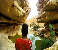 غدا.. «البيئة» تنظم مهرجان الطبيعة والثقافات المحلية بمحمية وادي دجلة