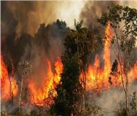 رئيس البرازيل يتهم المنظمات الأهلية بإحراق «الأمازون» 
