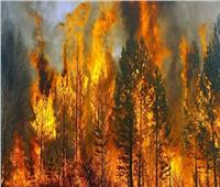 «حرائق الغابات» كلفت روسيا 106 ملايين دولار