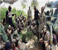 هجوم لـ «بوكو حرام» استهدف قرية في النيجر يوقع 12 قتيلا