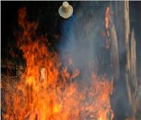 خاص| البيئة: مصر لن تتأثر بحرائق الأمازون 