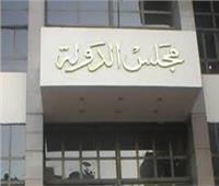 مجلس الدولة: الحكومة هي المساهم بشركة الجسر العربي للملاحة وأرباحها للخزانة العامة