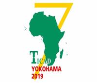 العلاقات الإفريقية اليابانية.. 600 مليون دولار مساعدات ومؤتمر «تيكاد» للتنمية