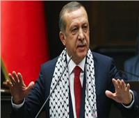 أردوغان: سننفذ خطتنا في شمال شرق سوريا إن لم نسيطر على المنطقة الآمنة