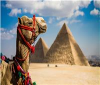 صور| إشادات دولية بقطاع السياحة المصرية