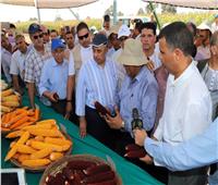 وزير الزراعة يتفقد البرامج القومية للأصناف الجديدة من المحاصيل بمحطة بحوث سخا