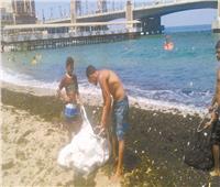«شواطئ بلا بلاستيك» في الإسكندرية لحماية الكائنات البحرية