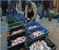 هل يجوز صيد الأسماك بالصعق الكهربائي؟.. «الإفتاء» تجيب