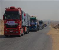 الهلال الأحمر المصري يقدم 587 طن مساعدات مواد غذائية لدولة السودان 