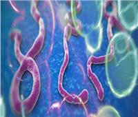 الصحة العالمية تتهم تنزانيا بإخفاء معلومات عن معدلات انتشار الإيبولا  