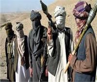 مقتل واعتقال عشرات من المقاتلين الأجانب في جنوب أفغانستان